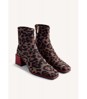 INGER-76713_leopardo_02