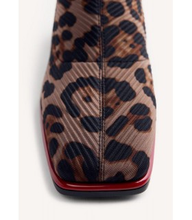 INGER-76713_leopardo_03