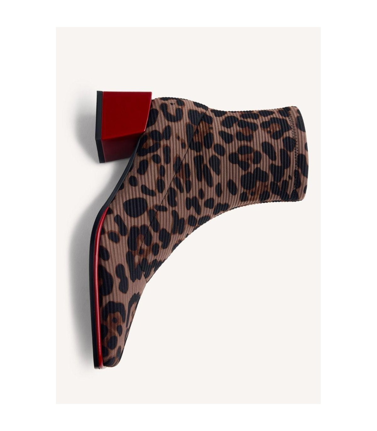 INGER-76713_leopardo_04