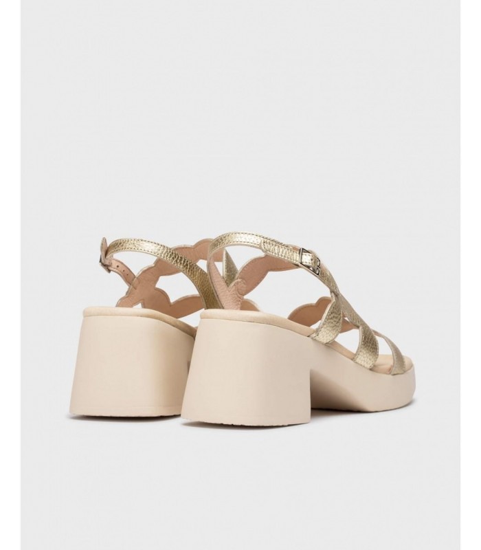 D-1020-d-1020_5432_7285 (3)