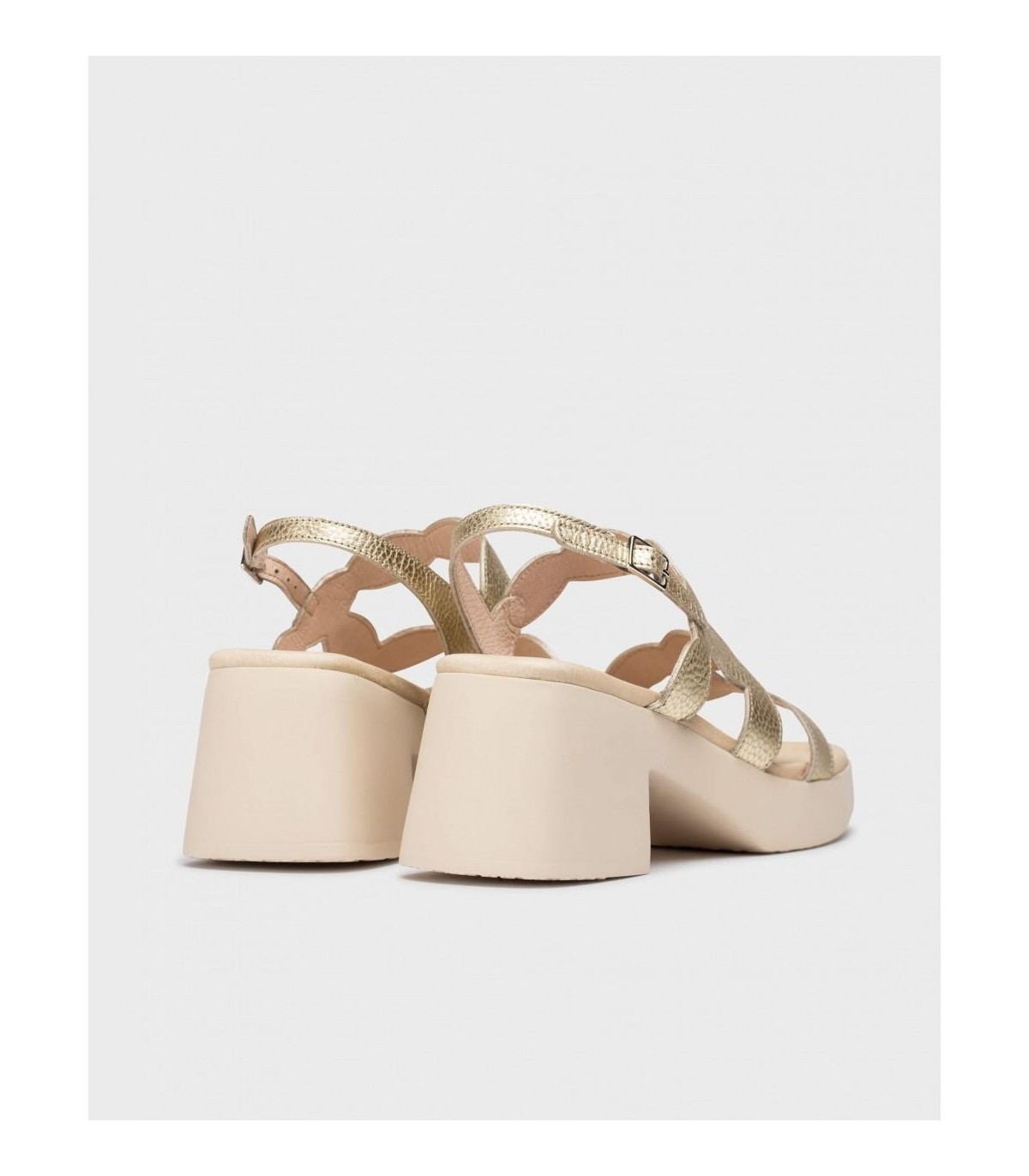 D-1020-d-1020_5432_7285 (3)