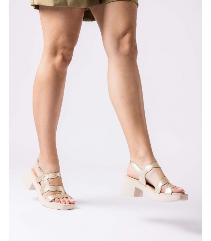 D-1020-d-1020_5432_7285 (4)