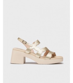 D-1020-d-1020_5432_7285