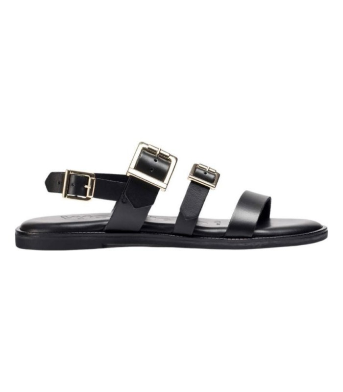 AB-1340-3523415-large_default