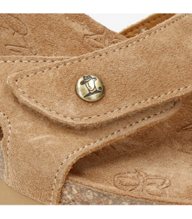 JULIA_B74-Captura de pantalla 2026-01-09 154438