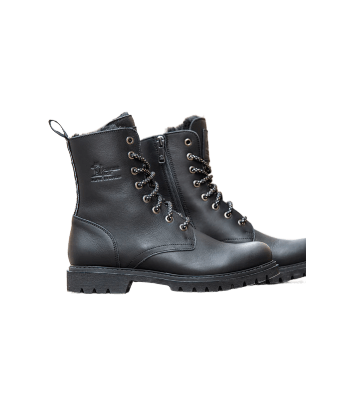 FRISIA_B1-Captura de pantalla 2026-01-09 162648 (1)