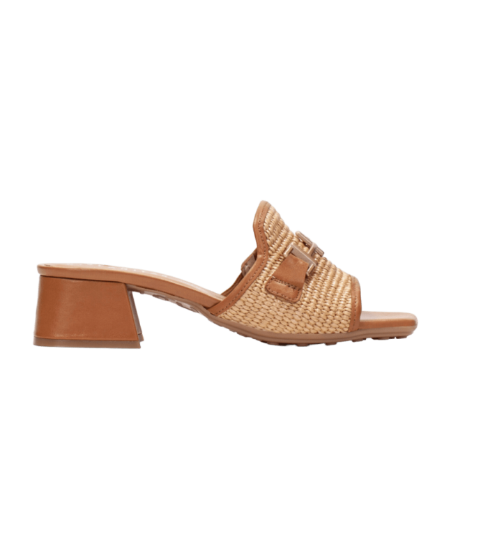 RHV254071-cover 2026-01-13 185322 (1)