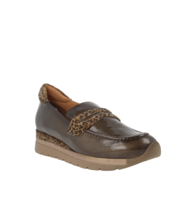 POLAR_CAM_37-Captura de pantalla 2026-01-12 174830