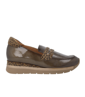 POLAR_CAM_38-Captura de pantalla cover 2026-01-12 174809