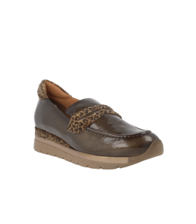 POLAR_CAM_39-Captura de pantalla 2026-01-12 174906