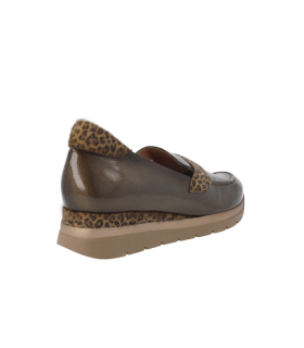 POLAR_CAM_40-Captura de pantalla 2026-01-12 175008