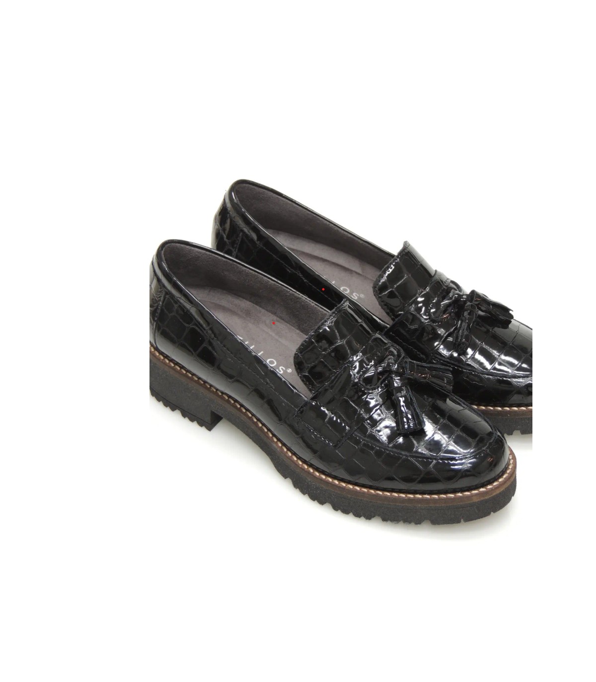 10770-Captura de pantalla 2026-01-16 132009