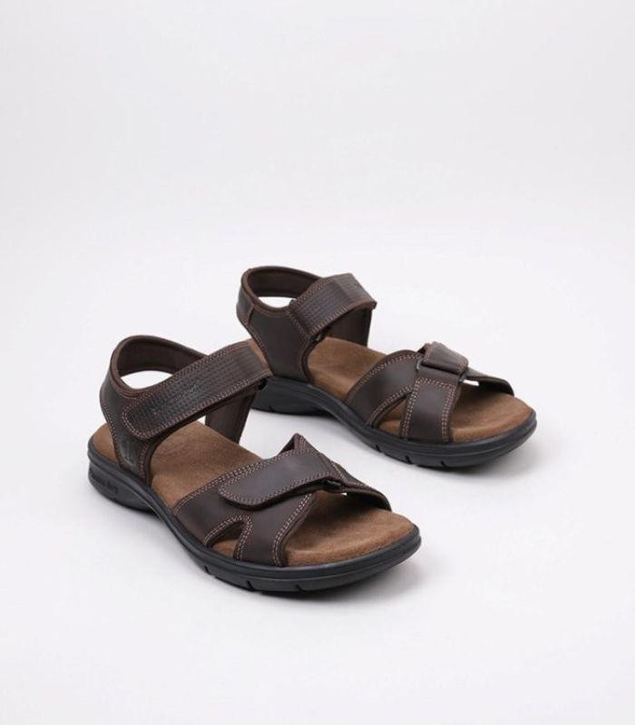 SANDERS_BASICS_C1-1-COVER SANDERSWEB