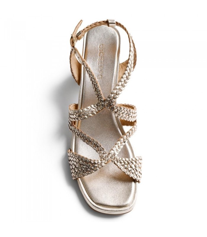 MOHORO-79218-MOHORO-Platino.PTO2