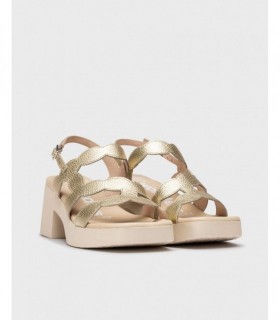 D-1020-d-1020_5432_7285 (1)